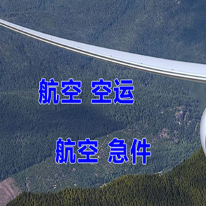 湛江吴川机场物流快递-选东方航空和上海航空